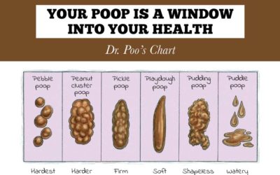 Dr. Poo’s kid-friendly bathroom resource