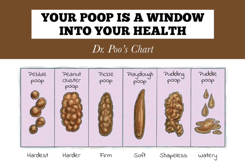 Dr Poo Stool chart